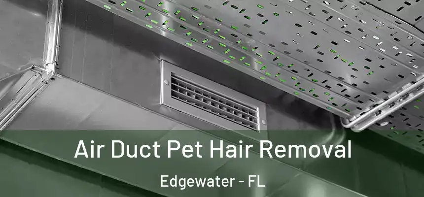 Air Duct Pet Hair Removal Edgewater - FL