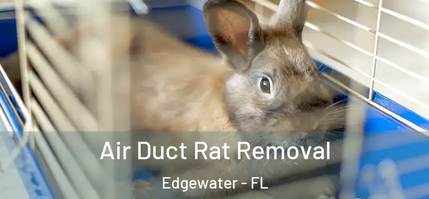 Air Duct Rat Removal Edgewater - FL