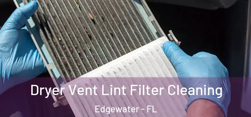 Dryer Vent Lint Filter Cleaning Edgewater - FL