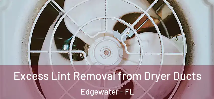 Excess Lint Removal from Dryer Ducts Edgewater - FL