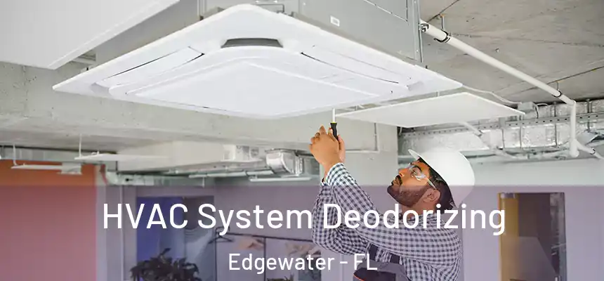 HVAC System Deodorizing Edgewater - FL