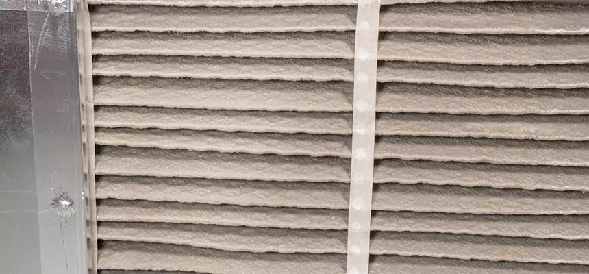 Mobile Car AC Filter Replacement in Edgewater