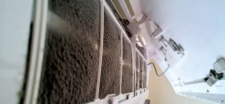 Preventive Air Duct Bacteria Removal in Edgewater