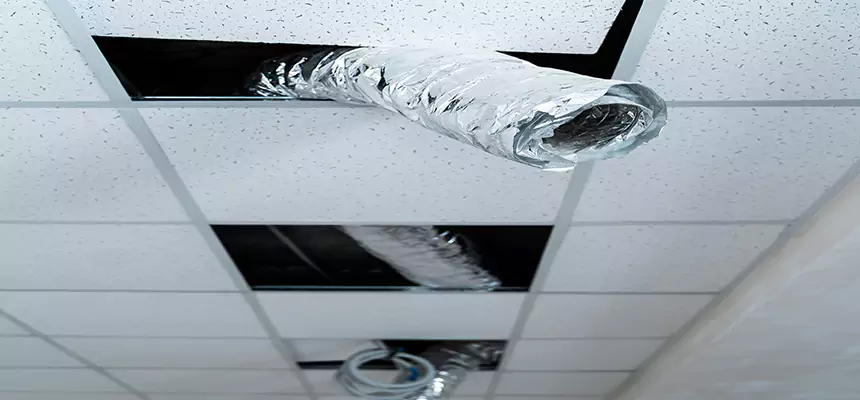 Our Air Duct Pet Hair Removal Services in Edgewater, FL