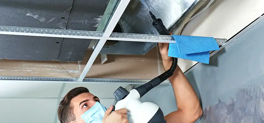 Our Air Duct Rodent Removal Services in Edgewater, FL