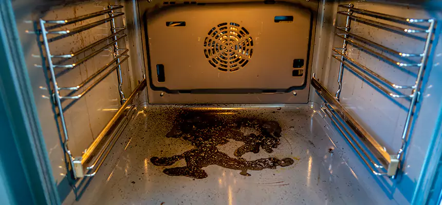 Our Air Purifier Installation Services in Edgewater, FL