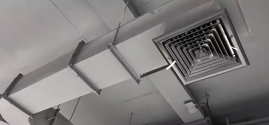 Restorative Allergy Relief Vent Cleaning – Coil, Blower & Housing Detail in Edgewater