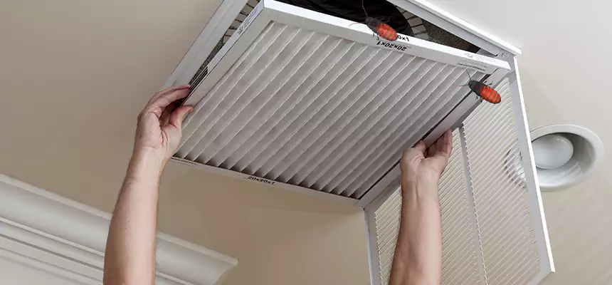 Our Insect Removal from Air Ducts Services in Edgewater, FL
