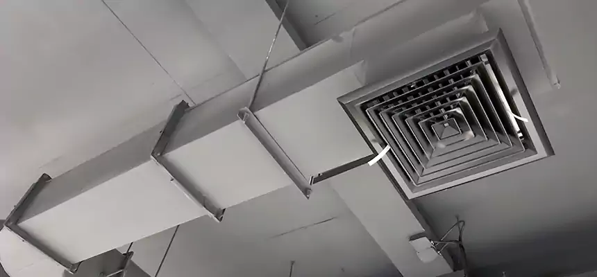 Our Pest Removal From Ducts Services in Edgewater, FL