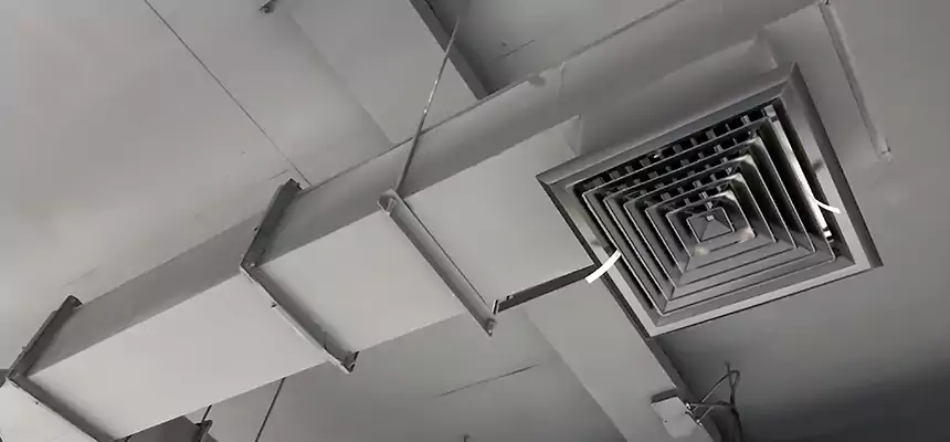 Our Rodent Droppings In Vents Services in Edgewater, FL