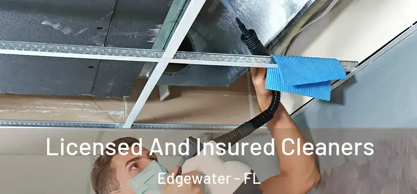 Licensed And Insured Cleaners Edgewater - FL