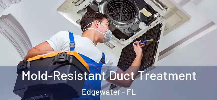 Mold-Resistant Duct Treatment Edgewater - FL