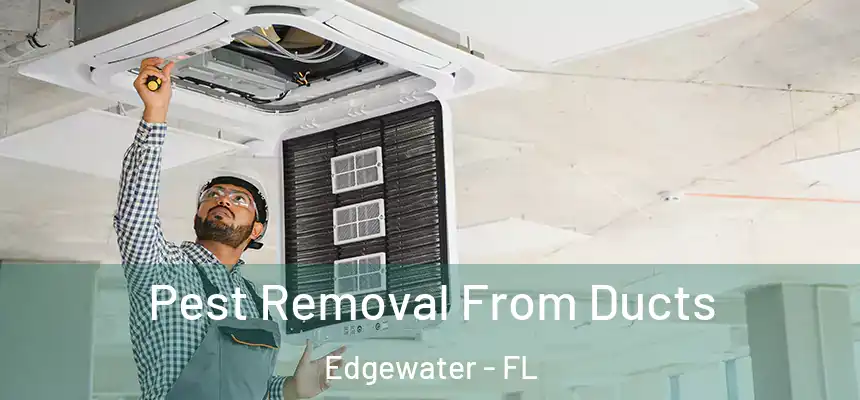 Pest Removal From Ducts Edgewater - FL