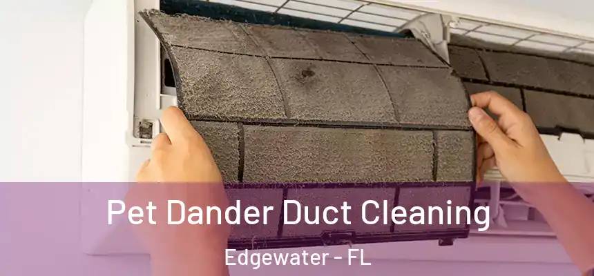 Pet Dander Duct Cleaning Edgewater - FL