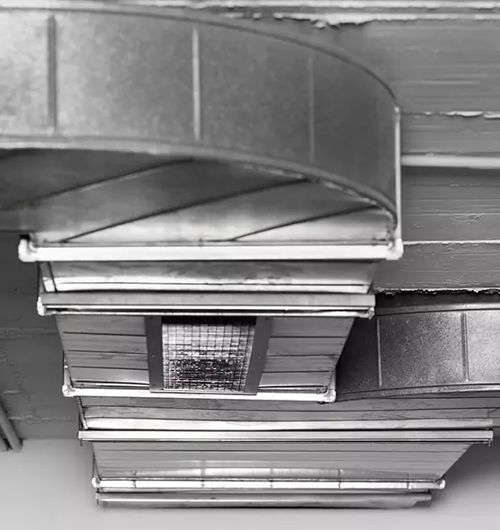 Professional Air Duct Pest Removal in Edgewater, FL