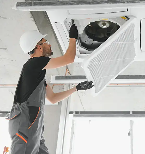 About Air Duct Rodent Removal in Edgewater, FL