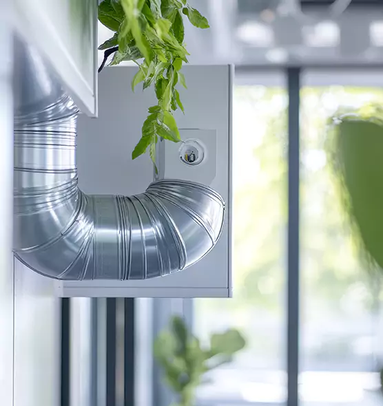 Professional Eco-Friendly Duct Cleaning Services in Edgewater, FL