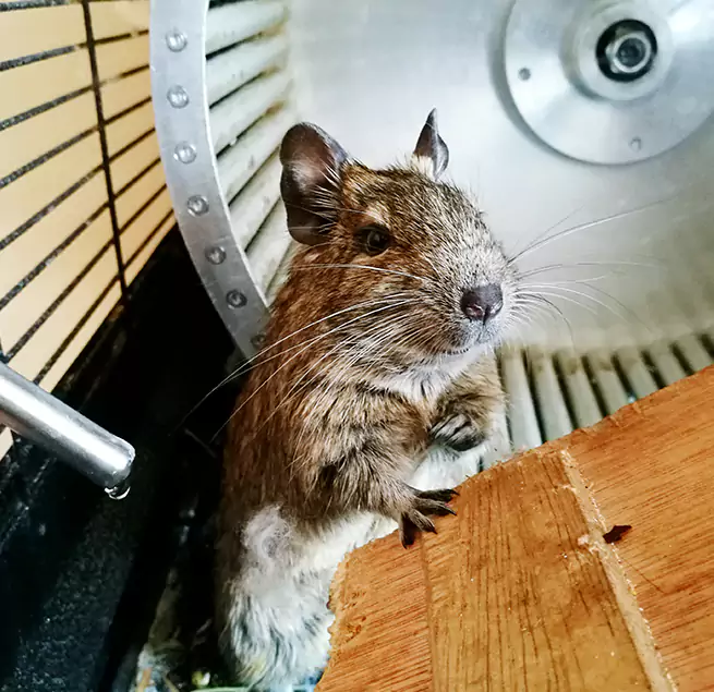 Why Homeowners & Businesses Trust Us Edgewater, FL?