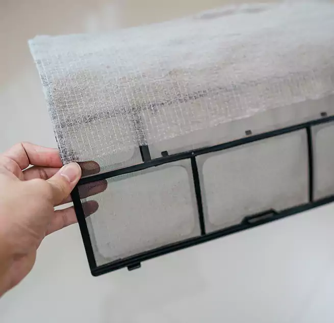 Why Homeowners & Businesses Trust Us in Edgewater, FL?