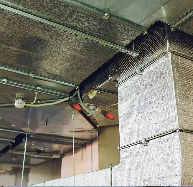 Why Homeowners & Businesses Trust Us Edgewater, FL?