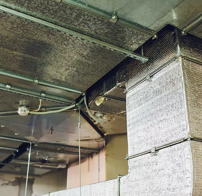 Why Homeowners & Businesses Trust Us in Edgewater, FL?